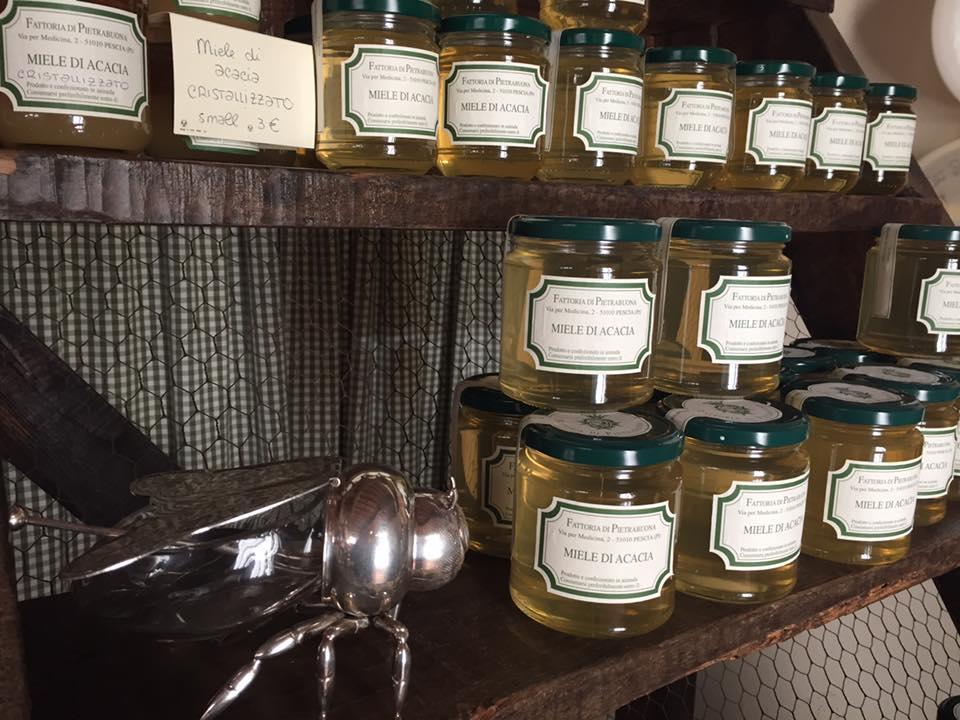 Fattoria Di Pietrabuona Διαμέρισμα Πέσια Εξωτερικό φωτογραφία