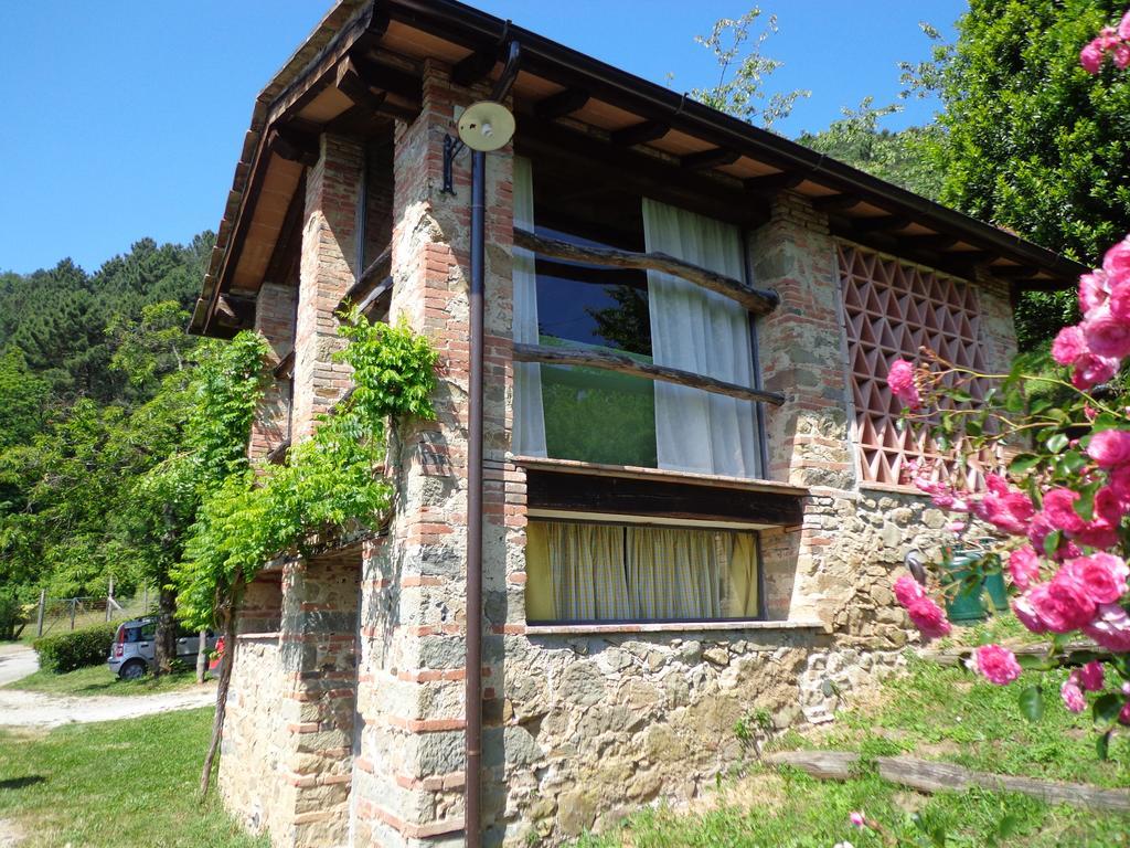 Fattoria Di Pietrabuona Διαμέρισμα Πέσια Εξωτερικό φωτογραφία