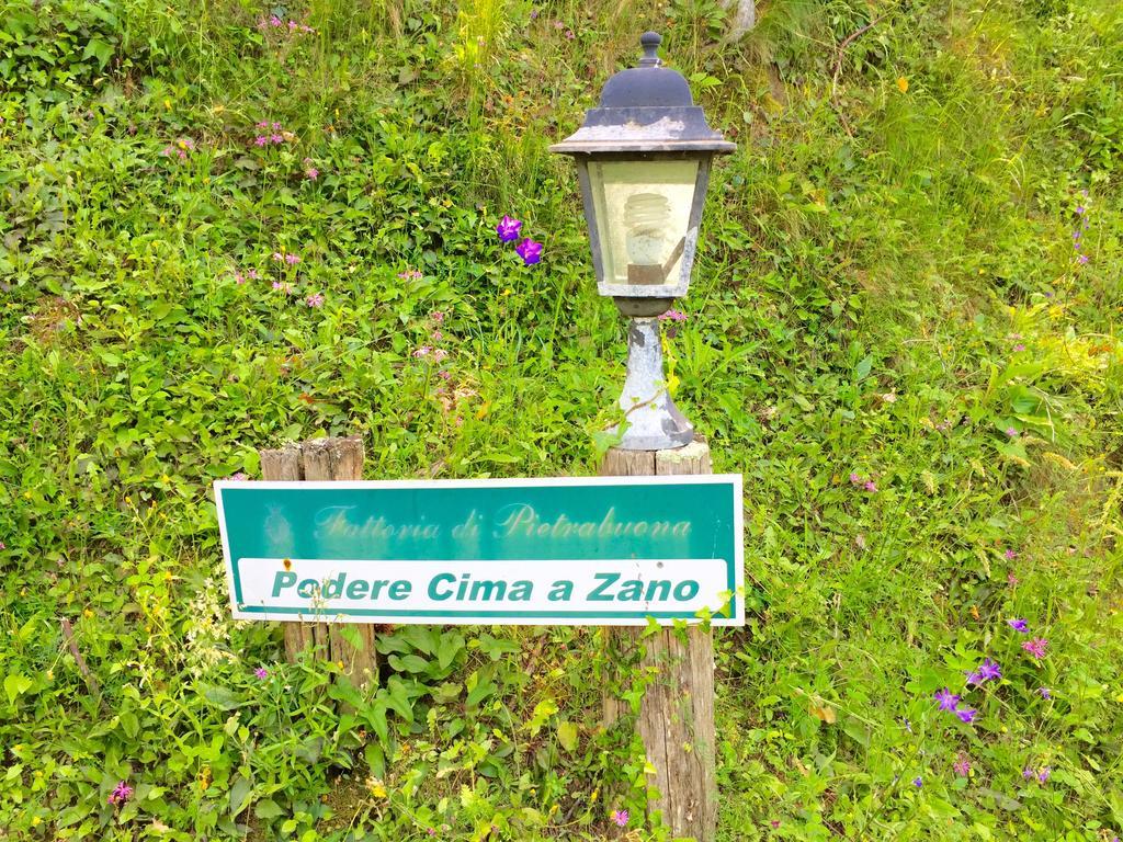 Fattoria Di Pietrabuona Διαμέρισμα Πέσια Εξωτερικό φωτογραφία