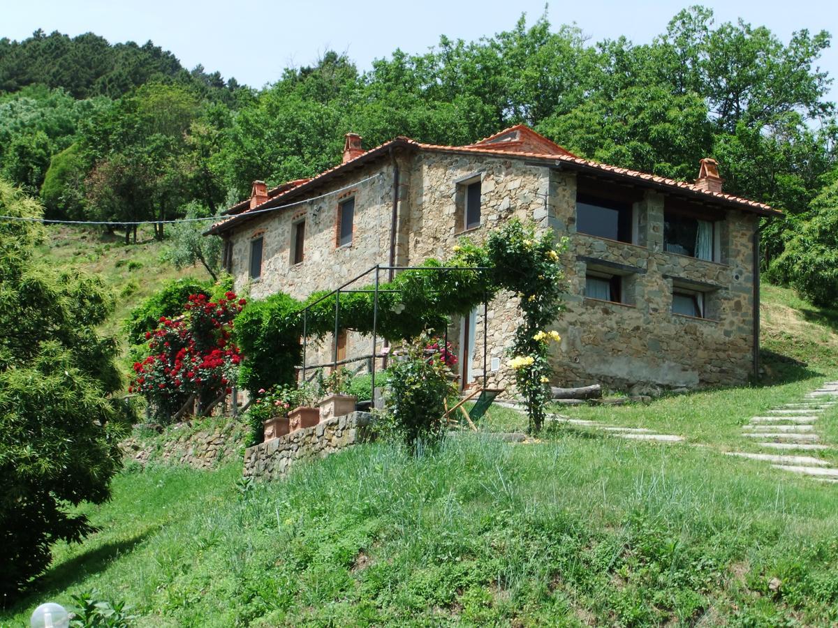 Fattoria Di Pietrabuona Διαμέρισμα Πέσια Εξωτερικό φωτογραφία