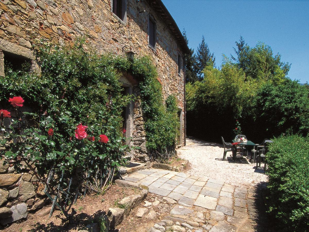 Fattoria Di Pietrabuona Διαμέρισμα Πέσια Εξωτερικό φωτογραφία