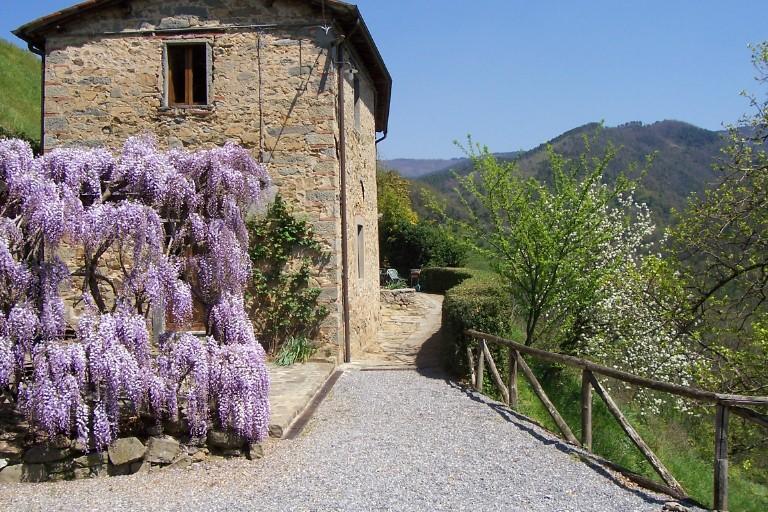 Fattoria Di Pietrabuona Διαμέρισμα Πέσια Εξωτερικό φωτογραφία