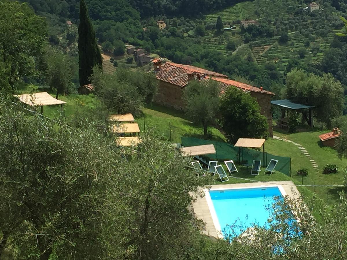 Fattoria Di Pietrabuona Διαμέρισμα Πέσια Εξωτερικό φωτογραφία
