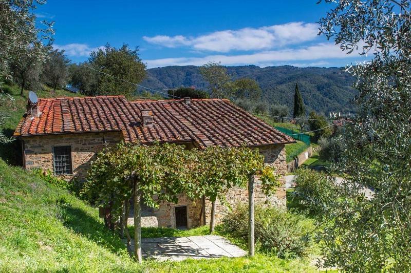 Fattoria Di Pietrabuona Διαμέρισμα Πέσια Εξωτερικό φωτογραφία
